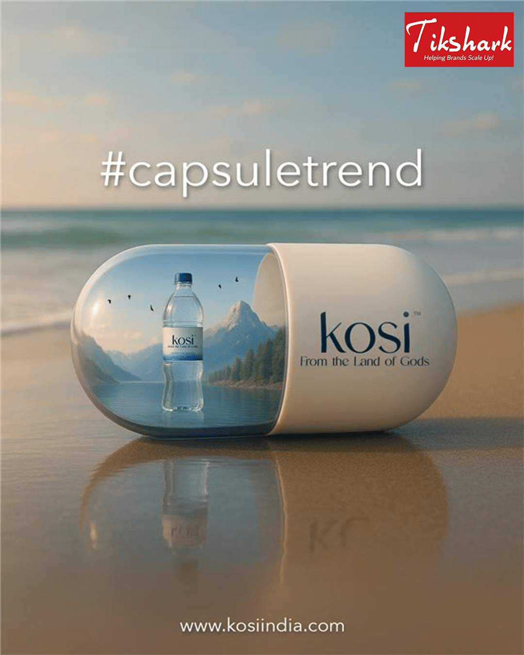 Tikshark Capsule Trend